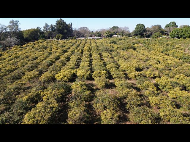 6189  m² Agricultural Holding for sale in White River Estates