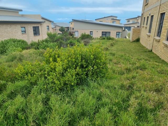 Land for sale in Blue Ridge