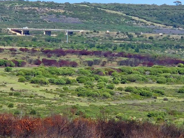 12.38  ha Agricultural Holding for sale in Aalwyndal