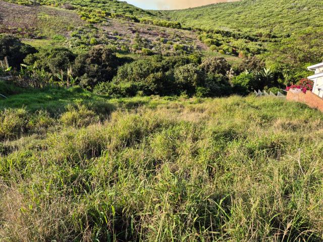 Land for sale in Dana Bay
