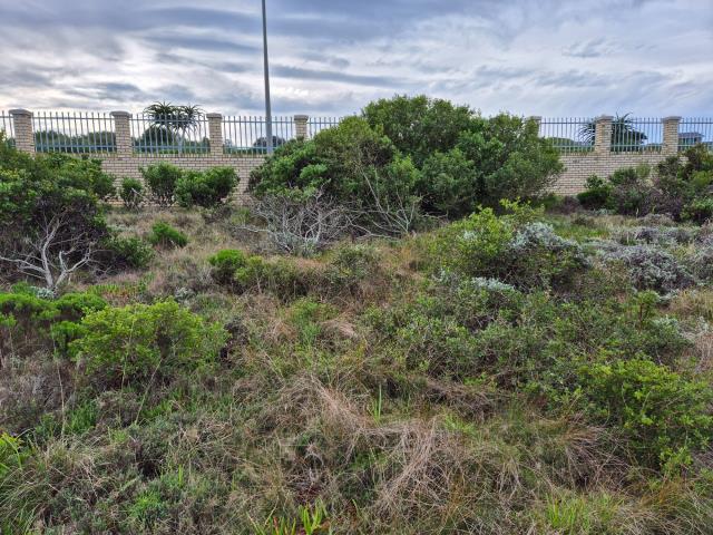 Land for sale in Blue Ridge