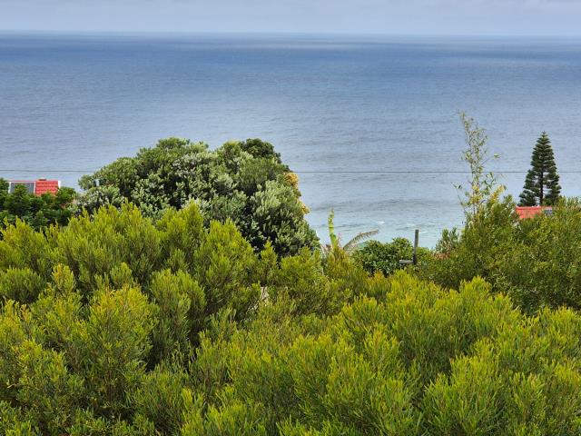 Land for sale in Dana Bay