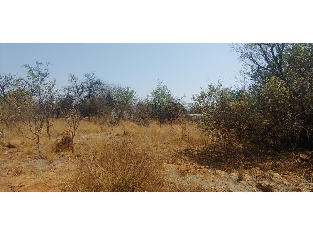 1 ha Land For Sale in Hartebeeshoek - Lorna Real Estate - Pretoria