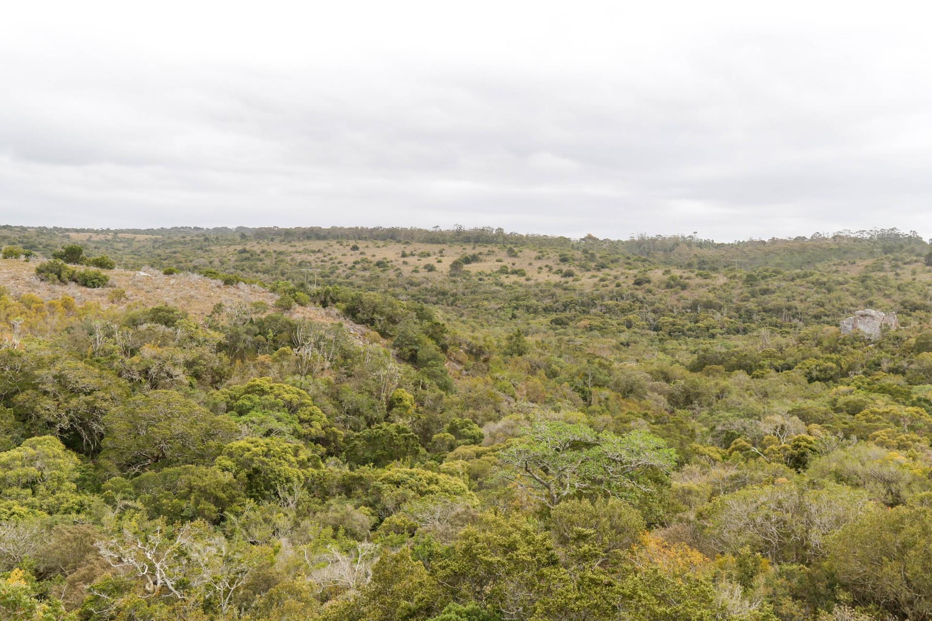 Property and houses for sale in Bathurst, Eastern Cape RE/MAX