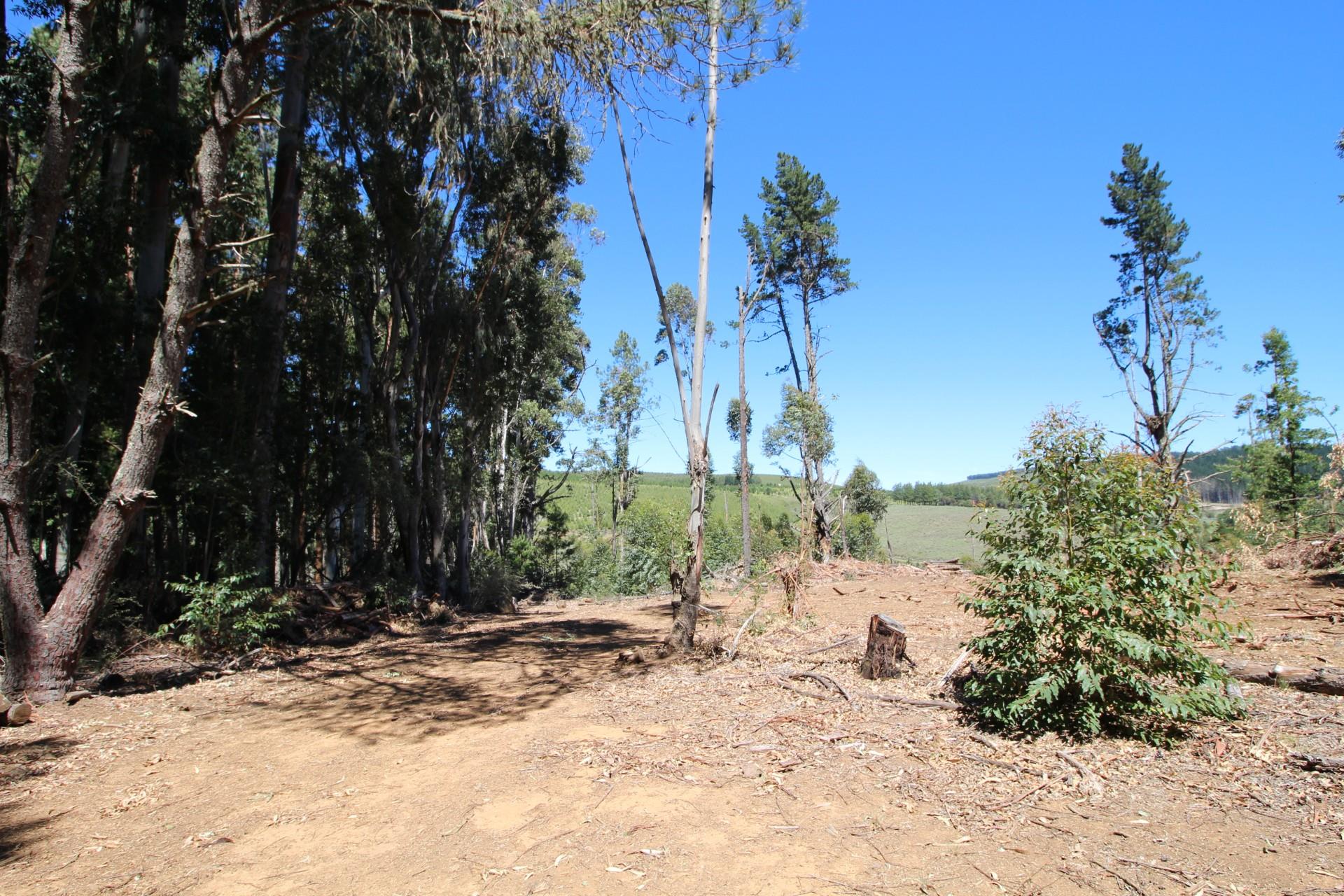 Property and houses for sale in Hogsback, Eastern Cape RE/MAX