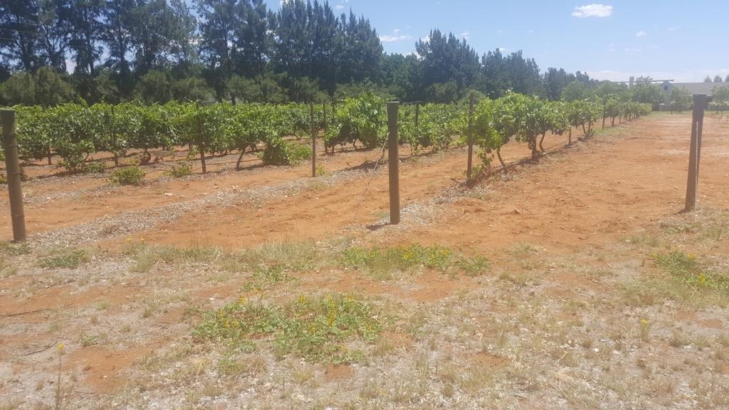 Vacant Land / Plot in Magersfontein Memorial Golf Estate For Sale RE