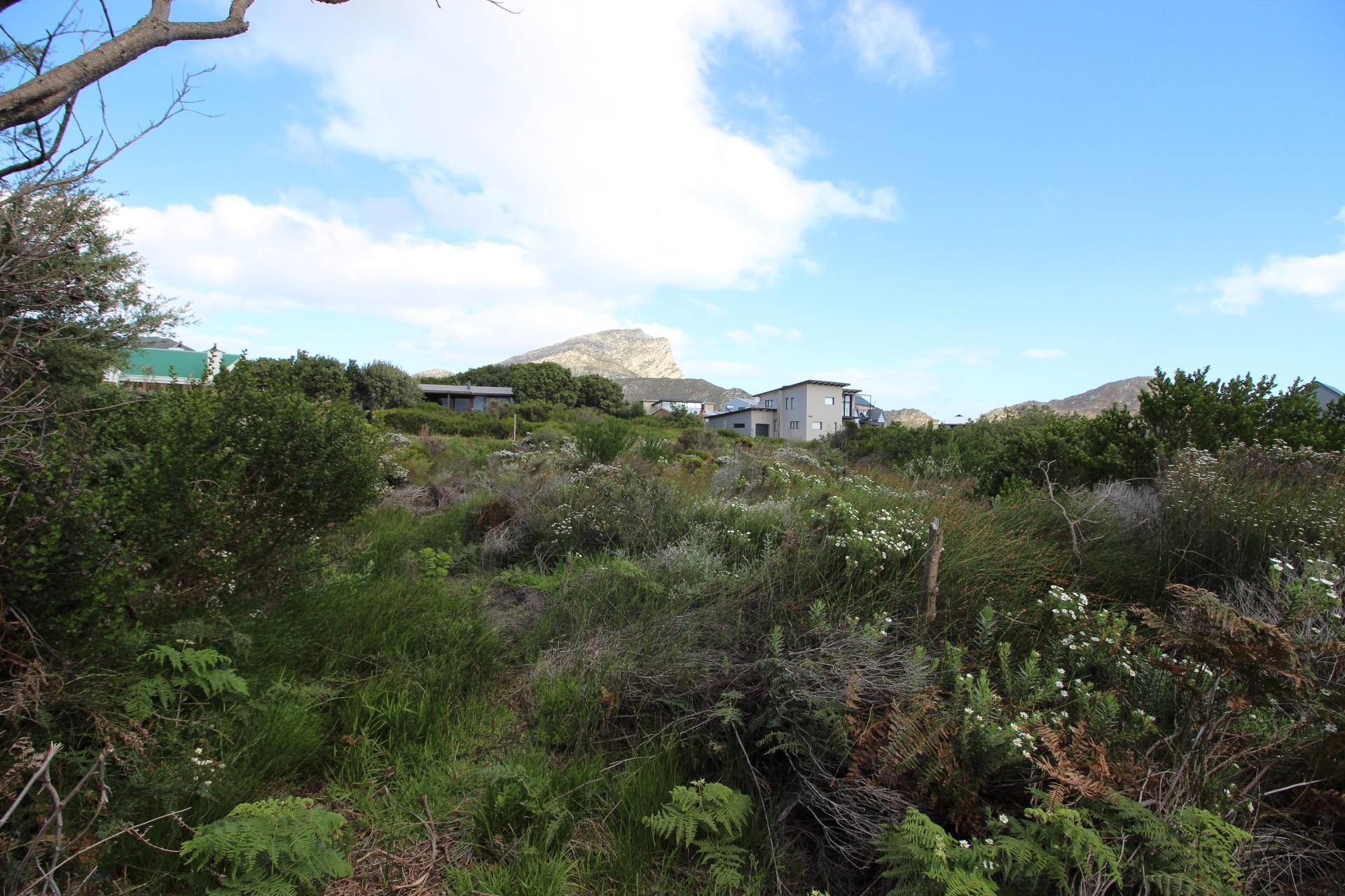 Property for sale in Pringle Bay RE/MAX™ of Southern Africa