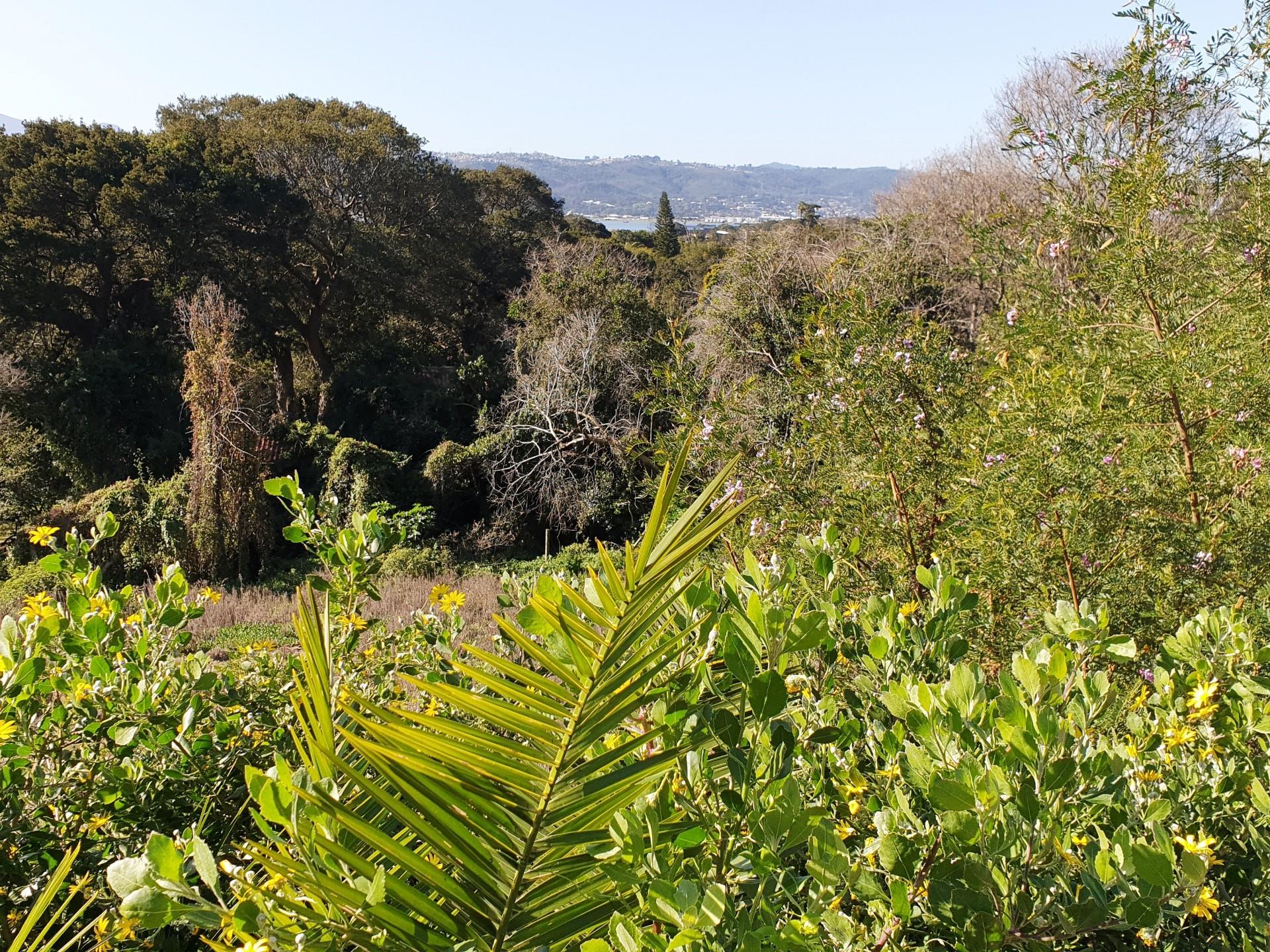 Property for sale in Brenton On Lake RE/MAX™ of Southern Africa