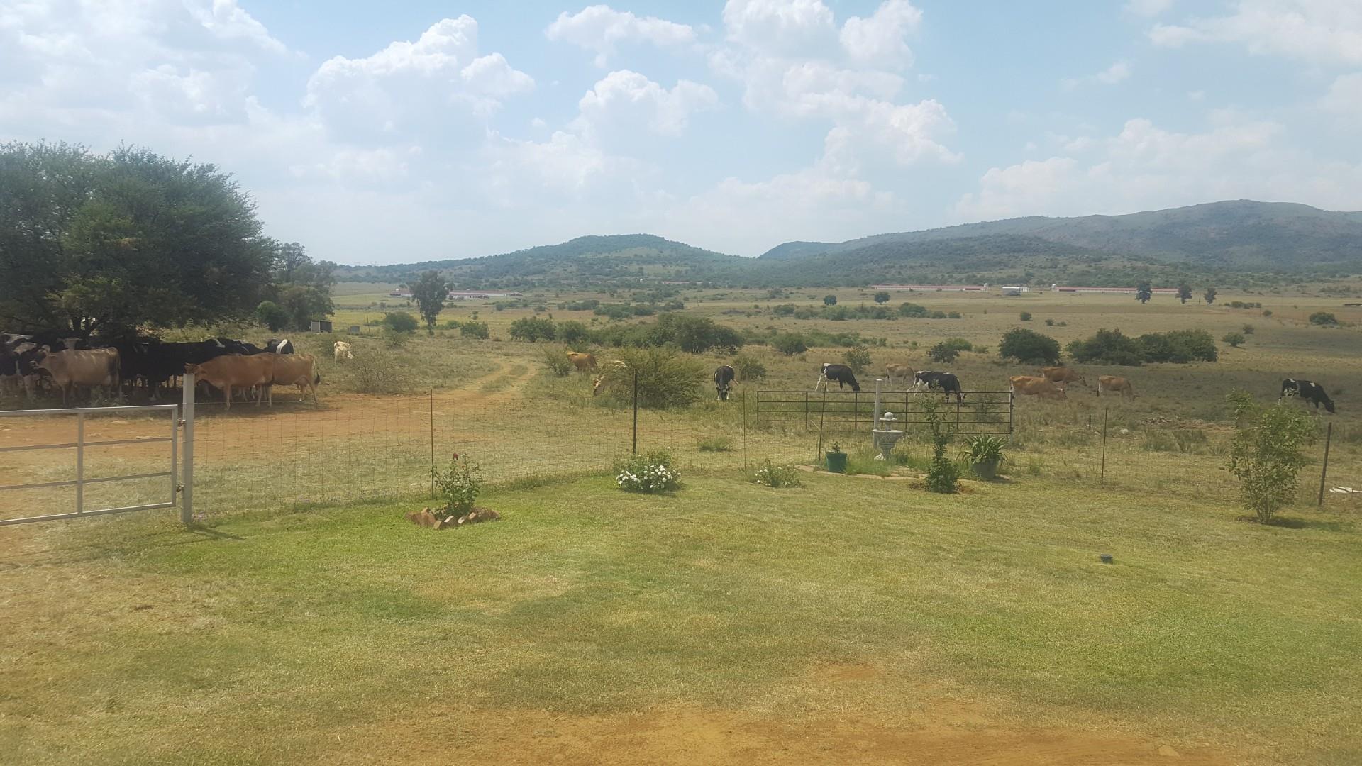 3 Bedroom House For Sale in Heidelberg Rural | RE/MAX™ of Southern Africa
